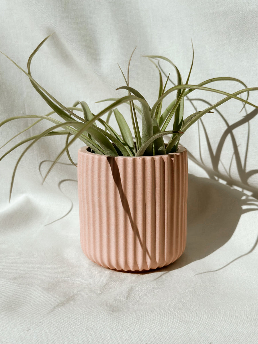Barril Jar